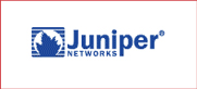 juniper